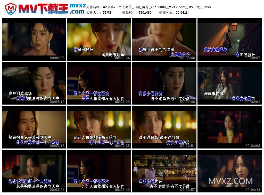 AZ珍珍-一个人孤单_国语_流行_YE100006